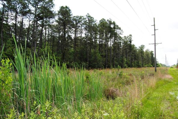 Multi Lots Timber Ln .: Multi Lots Timber Ln ., Richlands, NC 28574